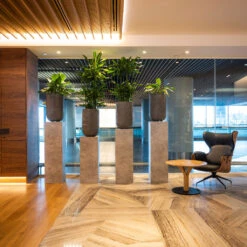 Cody Plant Vase - Ridged Dark Grey 22 Cody Plant Vase - Ridged Dark Grey -Indoor Plant Store CodyPlantVase RidgedDarkGrey 9