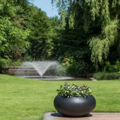 Cora Natural Bowl Planter - Black 12 Cora Natural Bowl Planter - Black -Indoor Plant Store CoraNaturalBowlPlanter Black 2