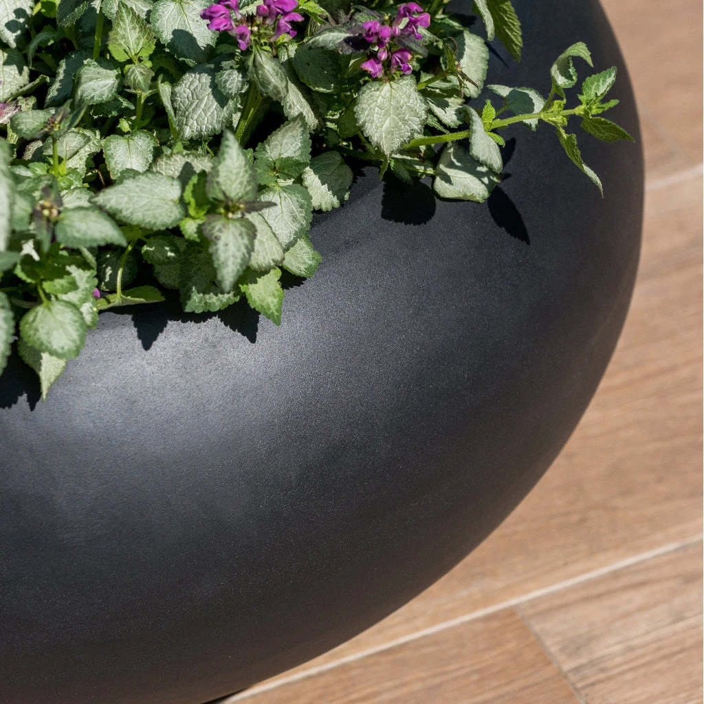 Cora Natural Bowl Planter - Black 3 Cora Natural Bowl Planter - Black - Image 3
