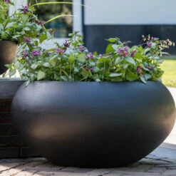 Cora Natural Bowl Planter - Black 11 Cora Natural Bowl Planter - Black -Indoor Plant Store CoraNaturalBowlPlanter Black 5