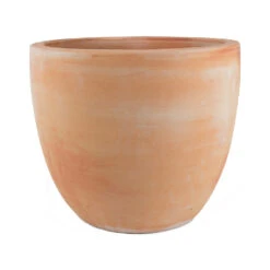 Terracotta Plant Pot -Indoor Plant Store Couple extra large