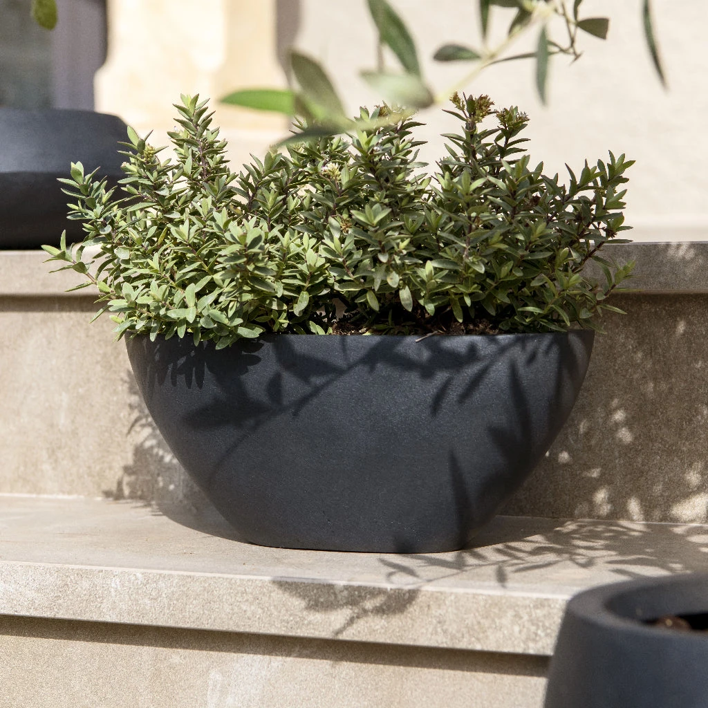 Dorant Natural Planter - Black 4 Dorant Natural Planter - Black - Image 4