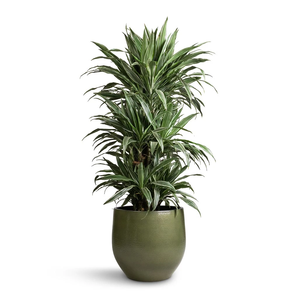 Zembla Plant Pot - Green 13 Zembla Plant Pot - Green - Image 13