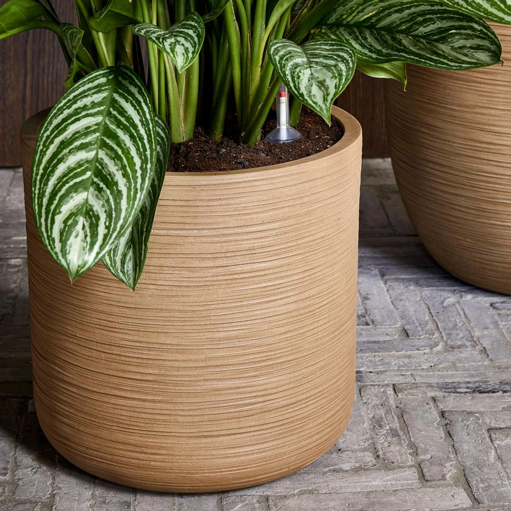 Dune Cylinder Planter - Almond 2 Dune Cylinder Planter - Almond - Image 2