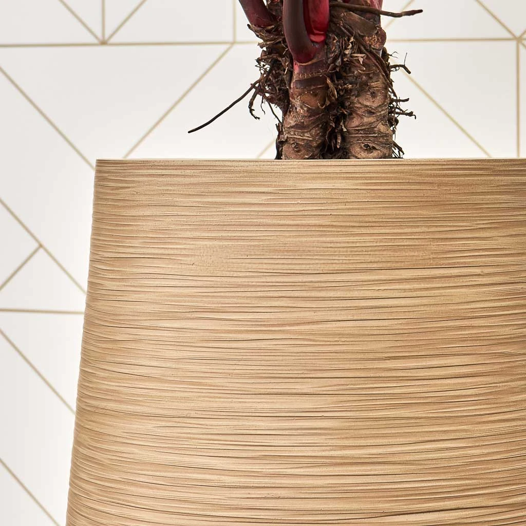 Dune Partner Planter - Almond 11 Dune Partner Planter - Almond - Image 11