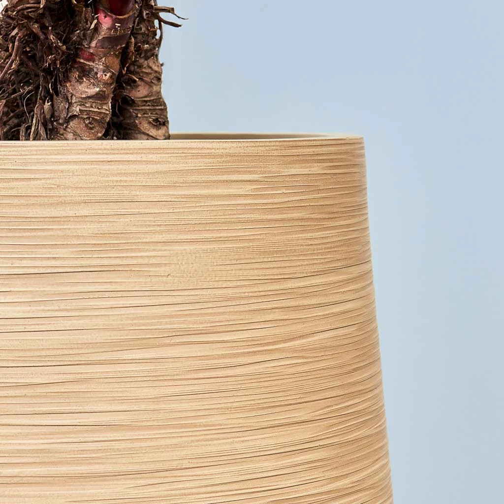 Dune Partner Planter - Almond 10 Dune Partner Planter - Almond - Image 10