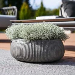 Eileen Plant Bowl - Ridged Dark Grey -Indoor Plant Store Eileen Planter Ridged Dark Grey Outdoor