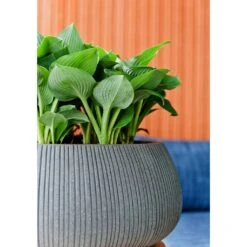 Eileen Plant Bowl - Ridged Dark Grey -Indoor Plant Store Eileen Planter Ridged Dark Grey Texture