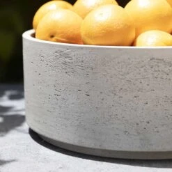 Eli Plant Bowl - Grey Washed -Indoor Plant Store Eli Plant Bowl Grey Washed Fruit