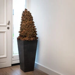 Ella Artstone Tall Planter - Black -Indoor Plant Store Ella Artstone Tall Planter Black 1