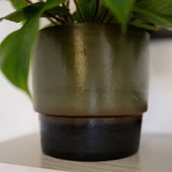 Erik Plant Pot - Dark Olive -Indoor Plant Store Erik Olive 4