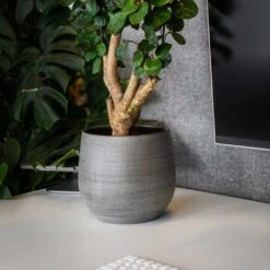 Esra Plant Pot - Mystic Grey -Indoor Plant Store Esra Plant Pot Mystic Grey 4