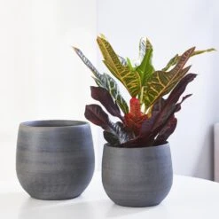 Esra Plant Pot - Graphite -Indoor Plant Store Esra graphite Lifestyle 1