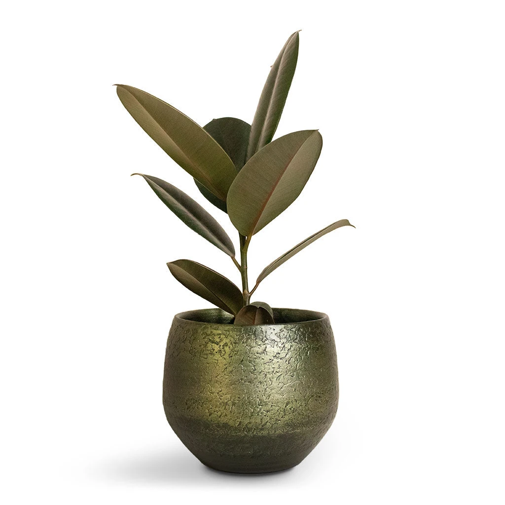 Noor Plant Pot - Velvet Green 16 Noor Plant Pot - Velvet Green - Image 16