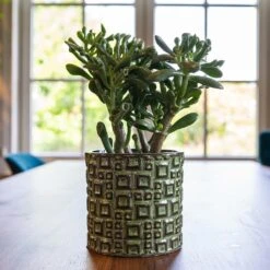 Fiene Plant Pot - Green 8 Fiene Plant Pot - Green -Indoor Plant Store Fiene Green 1