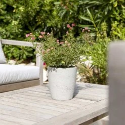 Gerben Plant Pot - Grey Washed -Indoor Plant Store Gerben Plant Pot Grey Washed Plant Pot Houseplant