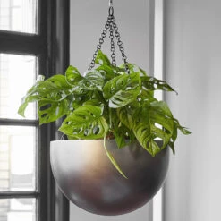 Gradient Hanging Plant Bowl - Matt Coffee -Indoor Plant Store Gradient Hanging Bowl Matt Coffee