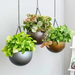 Gradient Hanging Plant Bowl - Matt Grey -Indoor Plant Store Gradient Hanging Plant Bowl a846980a 9fed 4358 b541 f69e0e6c33f4