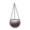 Gradient Hanging Plant Globe - Matt Coffee