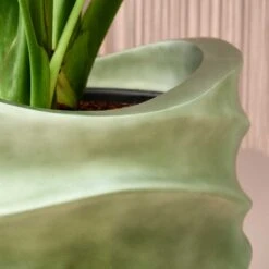 Gradient Lee Partner Planter - Matt Forest -Indoor Plant Store Gradient Lee Planter Matt Forest 1