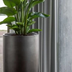 Gradient Partner Planter - Matt Grey 10 Gradient Partner Planter - Matt Grey -Indoor Plant Store Gradient Partner Planter Matt Grey 3