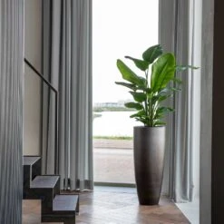 Gradient Partner Planter - Matt Grey 9 Gradient Partner Planter - Matt Grey -Indoor Plant Store Gradient Partner Planter Matt Grey 4