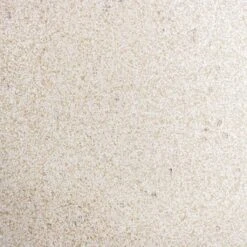 Grigio Cylinder Planter - Antique White Concrete -Indoor Plant Store Grigio Antique White Concrete Swatch 2 6dfea8ca 4113 4a76 b35a ac88b94b73fe