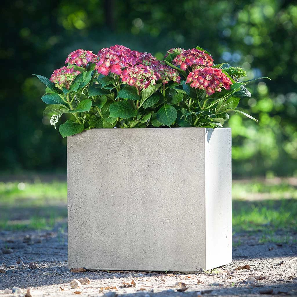 Grigio Cube Planter - Antique White Concrete 2 Grigio Cube Planter - Antique White Concrete - Image 2