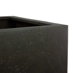 Grigio Cube Planter - Rusty Iron Concrete -Indoor Plant Store Grigio Cube Planter Rusty Iron Concrete Close Up