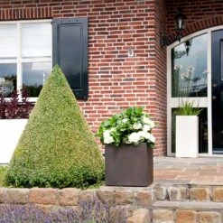 Grigio Cube Planter - Rusty Iron Concrete -Indoor Plant Store Grigio Cube Planter Rusty Iron Concrete LS1