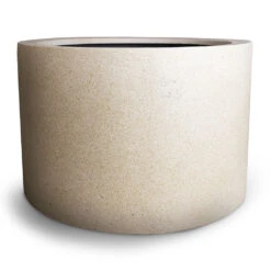Grigio Cylinder Planter - Antique White Concrete -Indoor Plant Store Grigio Cylinder Planter Antique White Concrete 08a9cf77 9256 45e9 ad31 bae730a64d75