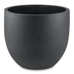 Grigio New Egg Pot Planter - Anthracite Concrete -Indoor Plant Store Grigio New Egg Pot Planter Anthracite Concrete 94x80cm