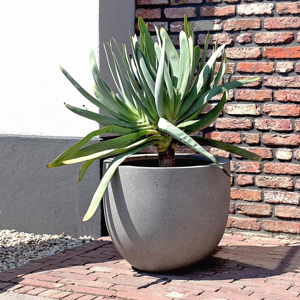 Grigio New Egg Pot Planter - Natural Concrete 4 Grigio New Egg Pot Planter - Natural Concrete - Image 4