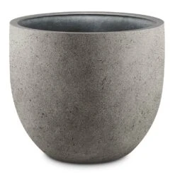 Grigio New Egg Pot Planter - Natural Concrete 8 Grigio New Egg Pot Planter - Natural Concrete -Indoor Plant Store Grigio New Egg Pot Planter Natural Concrete 94x80cm