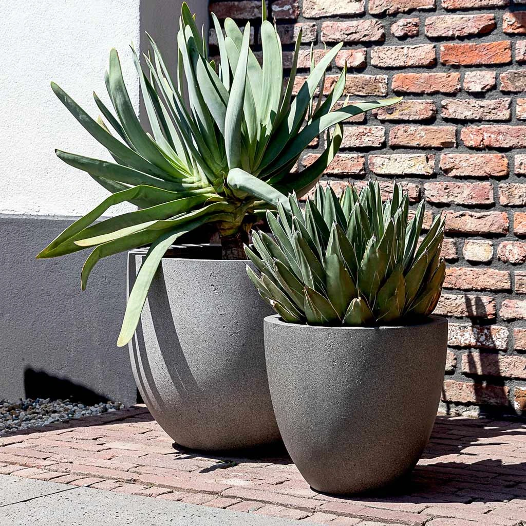 Grigio New Egg Pot Planter - Natural Concrete 2 Grigio New Egg Pot Planter - Natural Concrete - Image 2