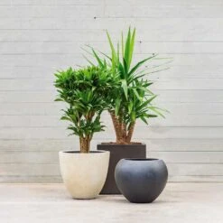 Grigio Egg Pot Planter - Antique White Concrete 11 Grigio Egg Pot Planter - Antique White Concrete -Indoor Plant Store Grigio Planters LS1