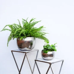 Hammered Bowl - Nickel With Black -Indoor Plant Store Hammered Bowl Silver Lifestyle 2