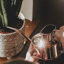 Haws Fazeley Flow Watering Can - One Pint Copper 10 Haws Fazeley Flow Watering Can - One Pint Copper -Indoor Plant Store Haws Fazeley Flow One Pint Copper LS