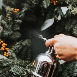 Haws Smethwick Spritzer In Nickel 7 Haws Smethwick Spritzer In Nickel -Indoor Plant Store Haws Smethwick Spritzer in Nickel 2