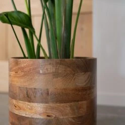 Helle Plant Pot - Natural -Indoor Plant Store Helle Natural 2