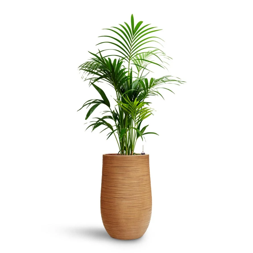 Dune Partner Planter - Almond 9 Dune Partner Planter - Almond - Image 9