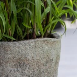 Hunter Mountain Planter - Granite Grey 18 Hunter Mountain Planter - Granite Grey -Indoor Plant Store Hunter Mountain Planter Granite Grey Lifestyle 1