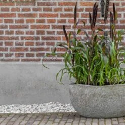 Hunter Mountain Planter - Granite Grey 17 Hunter Mountain Planter - Granite Grey -Indoor Plant Store Hunter Mountain Planter Granite Grey Lifestyle 3
