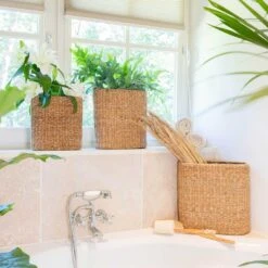 Isaac Plant Baskets - Set Of 3 - Oval - Natural -Indoor Plant Store Isaac Plant Baskets Set of 3 Round Natural Houseplants