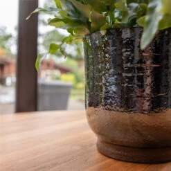 Jayla Plant Pot - Espresso 16 Jayla Plant Pot - Espresso -Indoor Plant Store Jayla Espresso 2