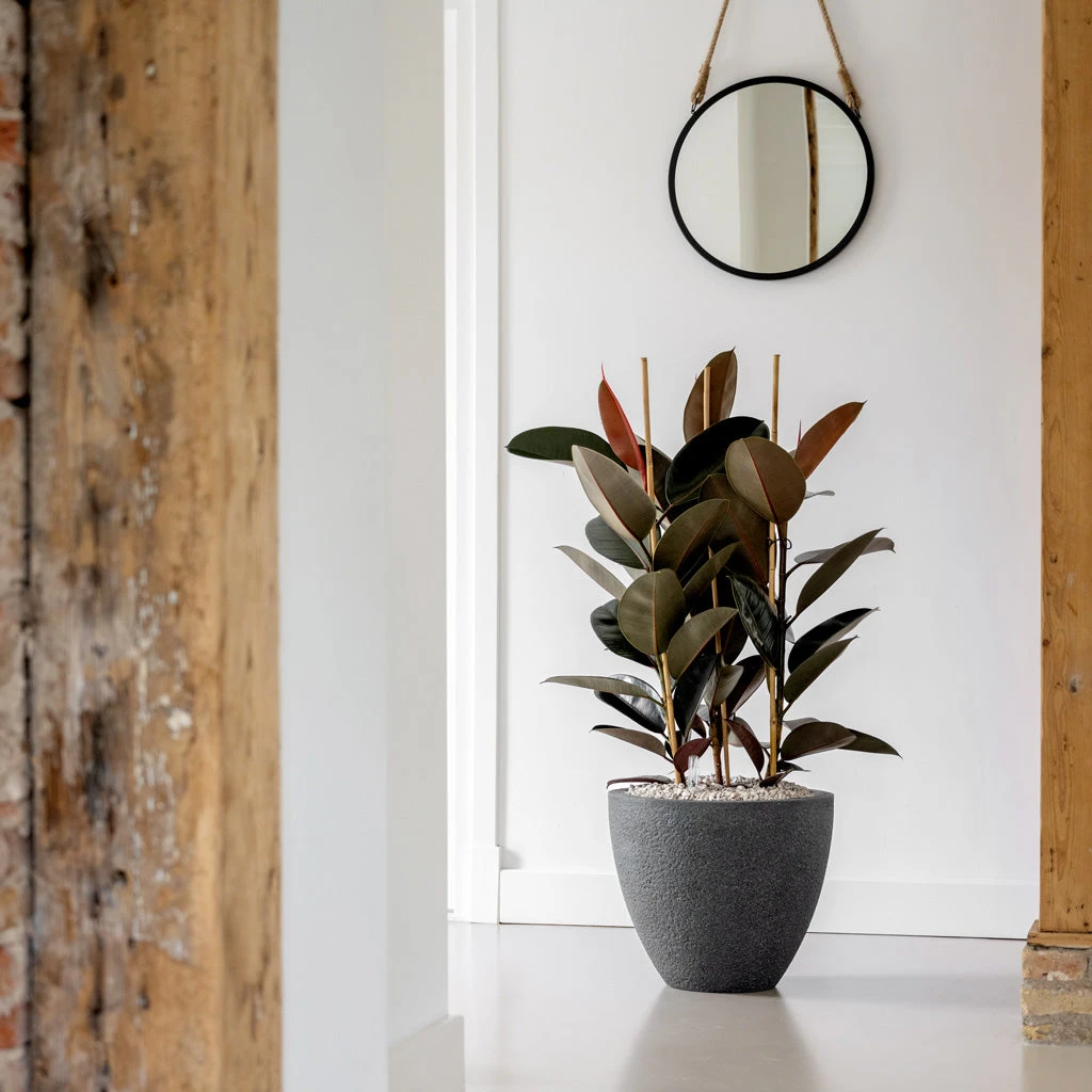 Jesslyn Granite Planter - Midnight Black 4 Jesslyn Granite Planter - Midnight Black - Image 4