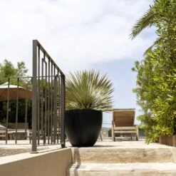 Jesslyn Natural Planter - Black 12 Jesslyn Natural Planter - Black -Indoor Plant Store Jesslyn Natural Planter Black 1