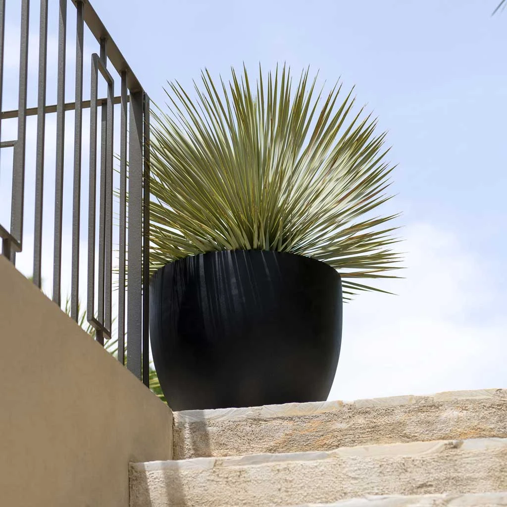 Jesslyn Natural Planter - Black 8 Jesslyn Natural Planter - Black - Image 8