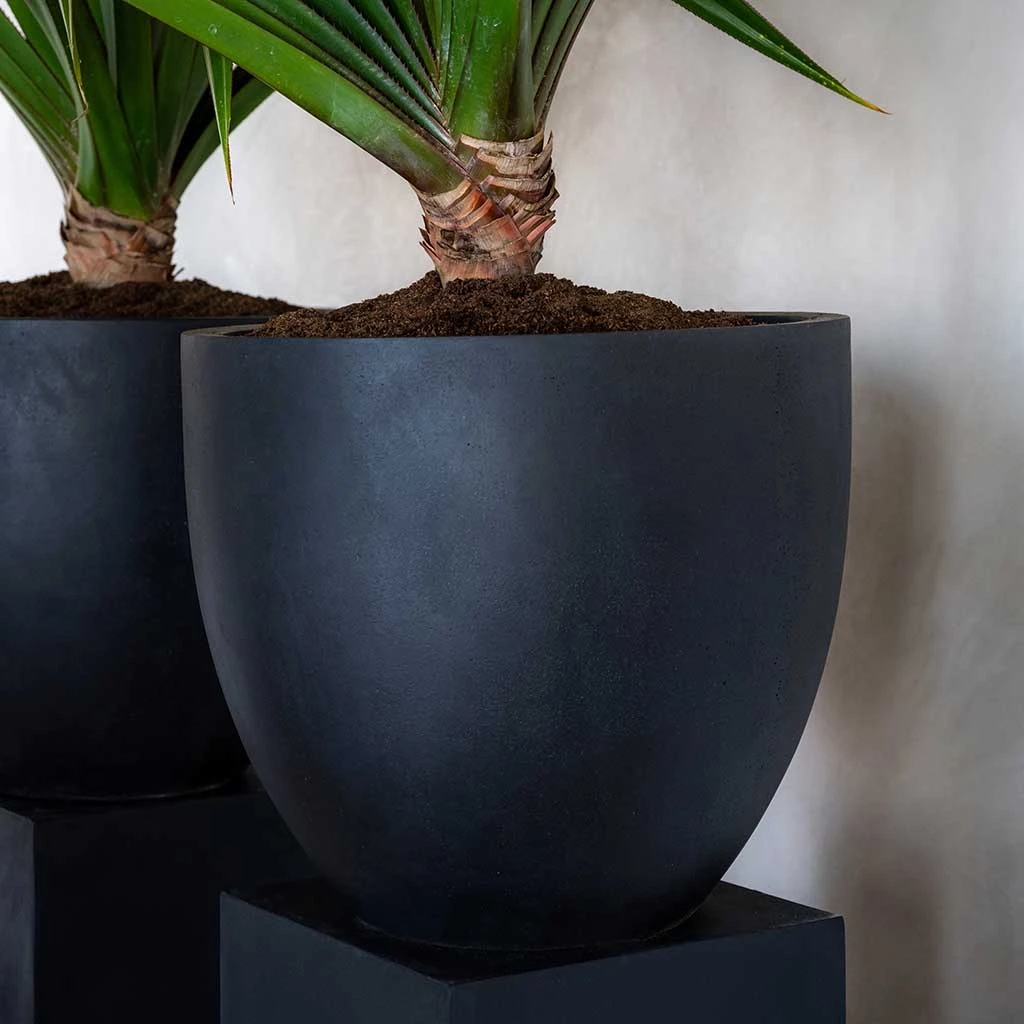 Jesslyn Natural Planter - Black 2 Jesslyn Natural Planter - Black - Image 2