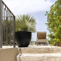 Jesslyn Natural Planter - Black 13 Jesslyn Natural Planter - Black -Indoor Plant Store Jesslyn Natural Planter Black Large Patio Planter da61951c e7e8 4898 be23 5e29fba17043